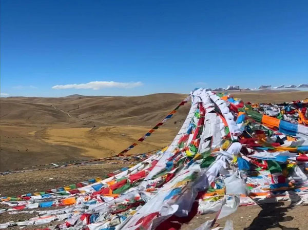 ���������ߺ��؅^(q��)